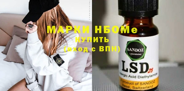 шишки Алзамай