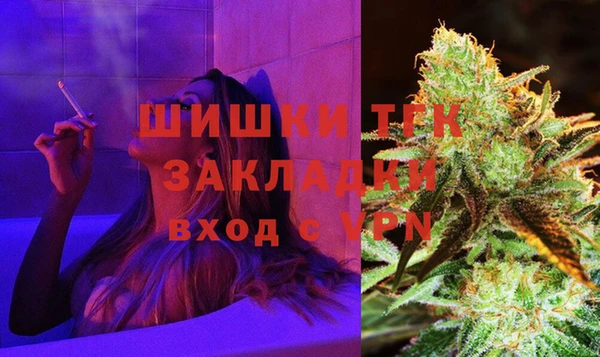 шишки Алзамай