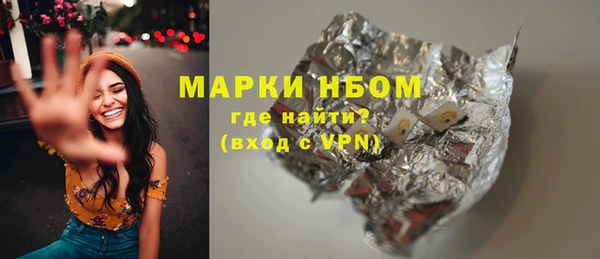 шишки Алзамай