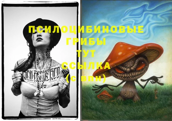 дмт Алексин