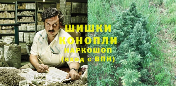шишки Алзамай