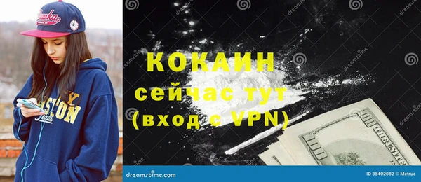 шишки Алзамай