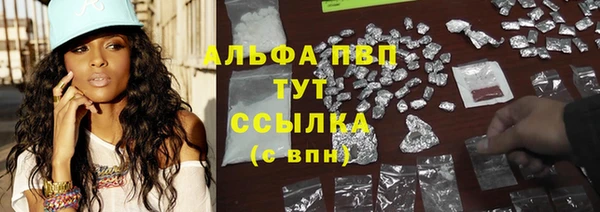 гашик Абинск