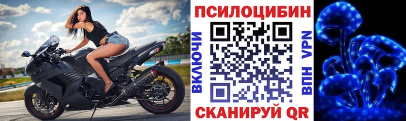 Галлюциногенные грибы GOLDEN TEACHER  Беломорск 